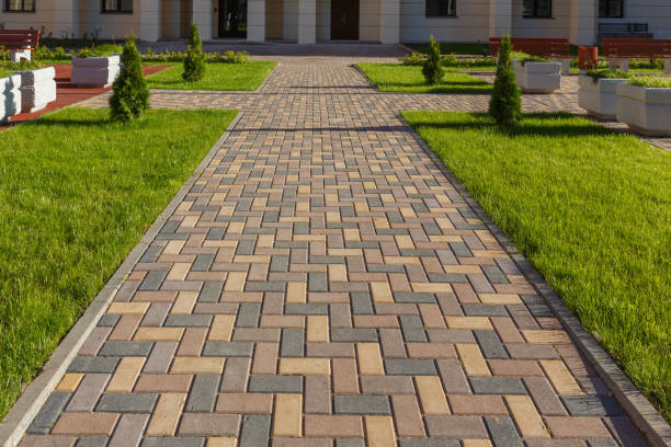Best Driveway Repair Near Me  in Beulah, ND